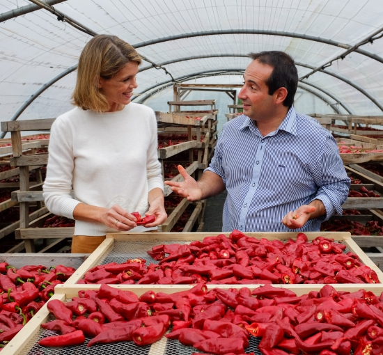 télévision,gastronomie,bayonne,pays basque